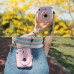 Чехол Fujifilm Instax Mini 12 Case прозрачный, Радуга