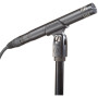 Микрофон Audio-Technica AT2031 Cardioid