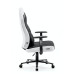 Геймерське крісло Diablo X-Gamer 2.0 Normal Size Black/White Геймерське крісло Diablo X-Gamer 2.0 Normal Size Black/White