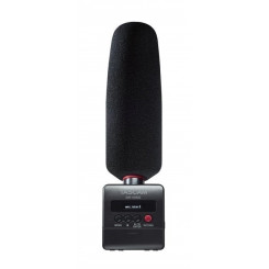 Диктофон TASCAM DR-10SG