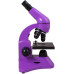 Мікроскоп Levenhuk Rainbow 50L Purple