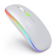 Беспроводная мышь Bluetooth перезаряжаемая с RGB подсветкой 2,4 ГГц Spase Silvery