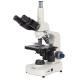 Микроскоп Delta Optical Genetic Pro Trino Микроскоп Delta Optical Genetic Pro Trino