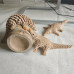 Іграшка антистрес 3D-друкований Панголін, рухомий, декоративна фігурка з PLA, 15 см Бежевий Іграшка антистрес 3D-друкований Панголін, рухомий, декоративна фігурка з PLA, 15 см Бежевий
