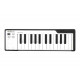 MIDI-клавиатура Arturia MicroLab Black MIDI-клавиатура Arturia MicroLab Black