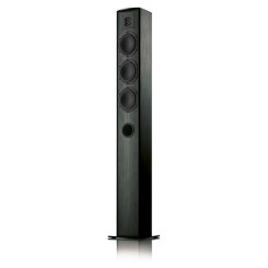 Акустическая система PIEGA TMICRO 60 AMT Black 1шт Акустическая система PIEGA TMICRO 60 AMT Black 1шт