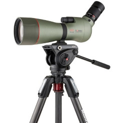Подзорная труба Kowa TSN-883 45°, с окуляром TE-11WZ II и штативом Manfrotto