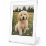 Фоторамка для Fujifilm Instax mini, Canon Zink, Polaroid Go фотографий прозрачная