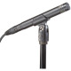 Микрофон Audio-Technica AT2031 Cardioid