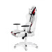 Геймерське крісло Diablo X-Ray XL Black/White Геймерське крісло Diablo X-Ray XL Black/White