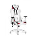 Геймерське крісло Diablo X-Ray XL Black/White Геймерське крісло Diablo X-Ray XL Black/White