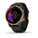 Garmin Venu Black with Gold Details 010-02173-33