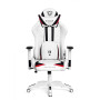 Геймерское кресло Diablo X-Ray XL Black/White Геймерское кресло Diablo X-Ray XL Black/White