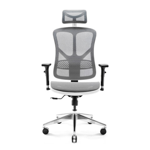 Геймерське крісло Diablo V-Basic White-Gray