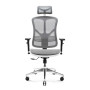 Геймерское кресло Diablo V-Basic White-Gray