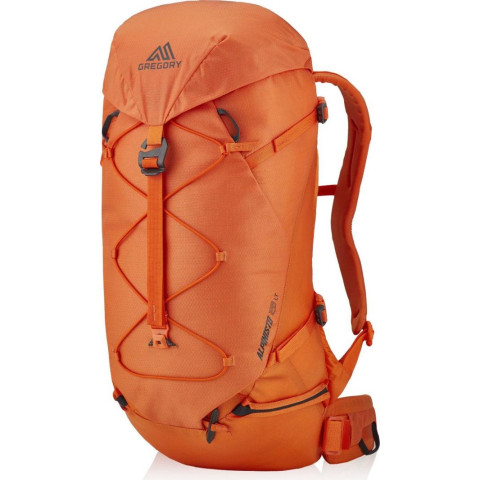 Рюкзак походный Gregory Alpinisto 28 LT M/L Orange