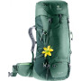 Похідний рюкзак Deuter Futura Vario 45+10 SL Green 340201822470