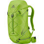 Рюкзак походный Gregory Alpinisto 38 LT M/L Green