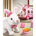 Набор детских игрушек Милый кролик со звуком 21PCS Rabbits Set Набор детских игрушек Милый кролик со звуком 21PCS Rabbits Set