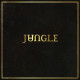 Вінілова платівка Jungle – Jungle