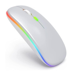 Беспроводная мышь Bluetooth перезаряжаемая с RGB подсветкой 2,4 ГГц Spase Silvery Беспроводная мышь Bluetooth перезаряжаемая с RGB подсветкой 2,4 ГГц Spase Silvery