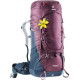 Похідний рюкзак Deuter Aircontact 50+10 SL Burgundy 332021953260