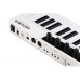 MIDI-клавіатура Arturia KeyStep 37