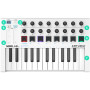 MIDI-клавиатура Arturia MiniLab MKII White MIDI-клавиатура Arturia MiniLab MKII White