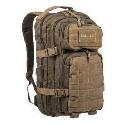 Рюкзак тактичний Mil-Tec US Assault Ranger 20 л Green/Beige