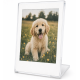Фоторамка для Fujifilm Instax mini, Canon Zink, Polaroid Go фотографий прозрачная Фоторамка для Fujifilm Instax mini, Canon Zink, Polaroid Go фотографий прозрачная