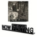 Акрилова полиця для зберігання вінілових пластинок Now Playing Black Акрилова полиця для зберігання вінілових пластинок Now Playing Black