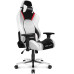 Геймерське крісло Akracing Masters PREMIUM Black/White Геймерське крісло Akracing Masters PREMIUM Black/White