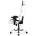 Геймерське крісло Akracing Masters PREMIUM Black/White Геймерське крісло Akracing Masters PREMIUM Black/White