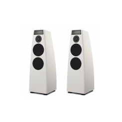 Акустическая система MERIDIAN DSP5200 Special Edition