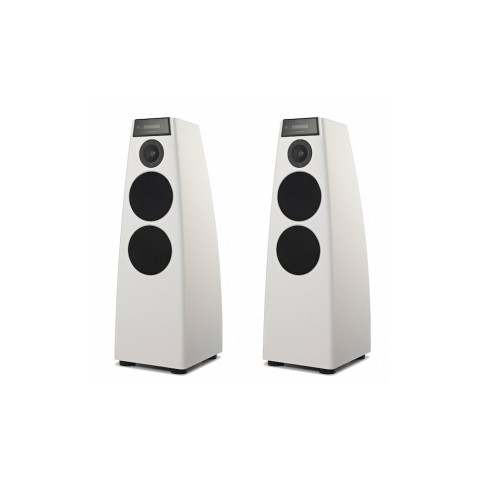 Акустическая система MERIDIAN DSP5200 Special Edition Акустическая система MERIDIAN DSP5200 Special Edition