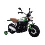 Электромотоцикл Leantoys Qk307 Black