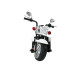 Электромотоцикл Farfello TR1501 White Электромотоцикл Farfello TR1501 White