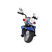 Электромотоцикл Farfello TR1501 Blue Электромотоцикл Farfello TR1501 Blue