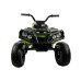 Электроквадроцикл Grizzly Next BDM0906 Green Электроквадроцикл Grizzly Next BDM0906 Green