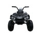 Электроквадроцикл Grizzly Next BDM0906 Silver