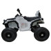 Электроквадроцикл Grizzly Next BDM0906 Silver