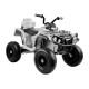 Электроквадроцикл Grizzly Next BDM0906 Silver Электроквадроцикл Grizzly Next BDM0906 Silver