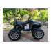Электроквадроцикл Grizzly Next BDM0906 R/C Black Электроквадроцикл Grizzly Next BDM0906 R/C Black