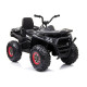 Электроквадроцикл Quad XMX607 Black