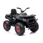 Электроквадроцикл Quad XMX607 Black Электроквадроцикл Quad XMX607 Black