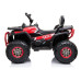 Электроквадроцикл Quad XMX607 Red