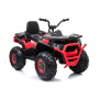 Электроквадроцикл Quad XMX607 Red Электроквадроцикл Quad XMX607 Red