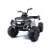 Электроквадроцикл Grizzly Next BDM 0909 24V White