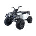 Электроквадроцикл Grizzly Next BDM 0909 24V White