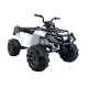 Электроквадроцикл Grizzly Next BDM 0909 24V White